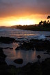 Sunset on a Tropical Palm Beach Sunset on a Tropical Palm Beach
