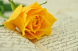 Rose on a Diary