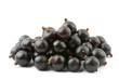 blackcurrant