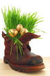 Easter golden eggs in old shoes, with fresh grass Easter golden eggs in old shoes, with fresh grass