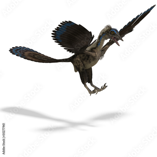 Illustration: Dinosaur Archaeopteryx. 3D rendering with clipping path and Dinosaur Archaeopteryx. 3D rendering with clipping path and