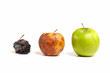 Three apples: fresh, rotting and dead
