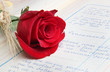 sant jordi