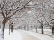 Photo: City after the snow City after the snow