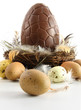 Big chocolate easter egg in nest with feathers Big chocolate easter egg in nest with feathers