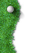 White golf ball on green grass isolated White golf ball on green grass isolated