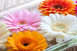 Foto: Bunte Frühlings Blumen - Dekoriert Bunte Frühlings Blumen - Dekoriert