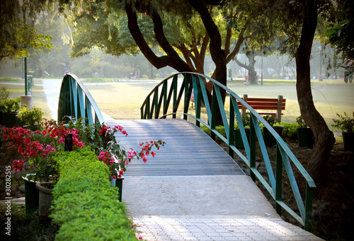 Photo: bridge bridge