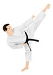 Vektor: Vector illustration of a man doing standing side kick stance Vector illustration of a man doing standing side kick stance