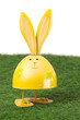 Smiling yellow rabbit on grass