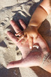 Mother holding her child's hand on sand on the beach Mother holding her child's hand on sand on the beach