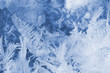Photo: Stucture of snow surface Stucture of snow surface