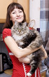 Woman in the red dress and big cat