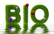 Bio grass