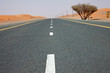 Dubai 22022011 2 371