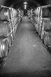 Winery wine cellar