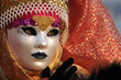 Venice carnival mask