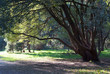 Autumn park at day time