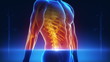 Video: X-ray scan Diagnosis in loop X-ray scan Diagnosis in loop