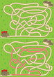 Hedgehog maze