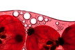 Foto: Rote Johannisbeeren mit Saft Rote Johannisbeeren mit Saft