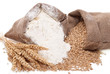 Flour and wheat grain