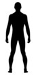 Naked standing man