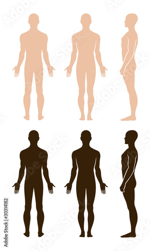 Vector: Full length profile, front, back view of a standing naked man Full length profile, front, back view of a standing naked man