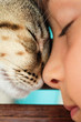 grande tendresse pour son chat