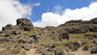 Mt.Kenya