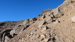 Mt.Kenya