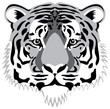 vector tiger head