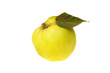 Quince