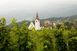 Vineyard and church