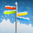 blank sign post on snowy day
