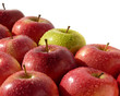 The apples covered with drops of water on a white background