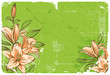 Lily flower on a green grunge background