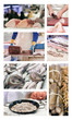 Pescaderia Collage