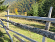 wooden fence