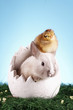 Photo: Easter animals! Easter animals!