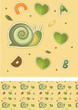 pattern of the snail