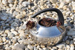 Photo: Teekessel im Steingarten Teekessel im Steingarten