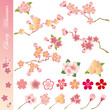 Vektor: Cherry Blossom Icons Set Cherry Blossom Icons Set