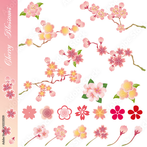 Vector: Cherry Blossom Icons Set Cherry Blossom Icons Set