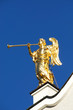 Winged angel Winged angel