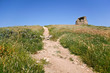 Torre del Pozzo