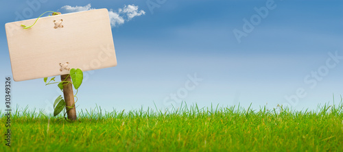 Photo: green sign on garden grass, horizontal banner, nature, blue sky green sign on garden grass, horizontal banner, nature, blue sky