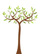 Spring tree