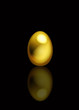 golden egg
