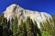 Foto: El Capitan, Yosemite National Park, California El Capitan, Yosemite National Park, California